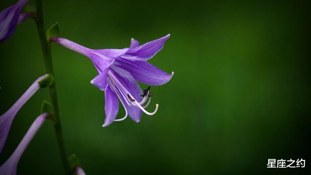 运势▲在5月中旬,勇往直前,不畏艰险,胜利在望的三大星座