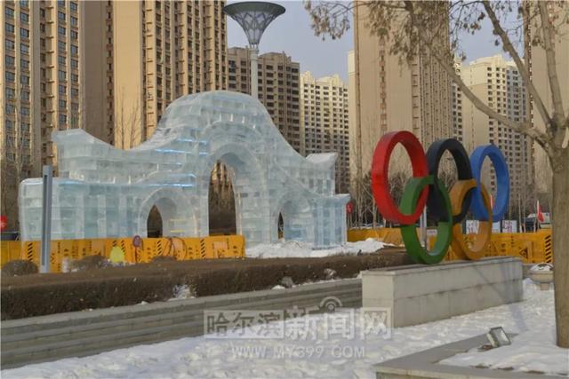 哈尔滨新闻网 看图就爱了!道里公益大大大冰场即将开放