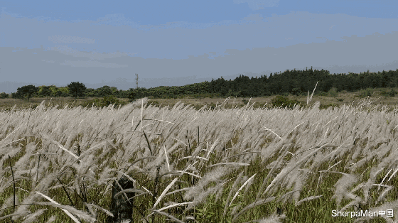 半导体|小米有品厉害了！不用插电的空气循环扇，随意调高度，用完塞床底