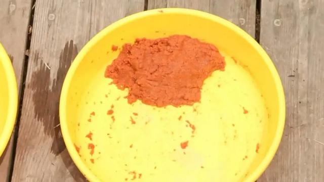 |钓鱼开饵很关键，但饵料返水的根源到底是什么？该如何应对？