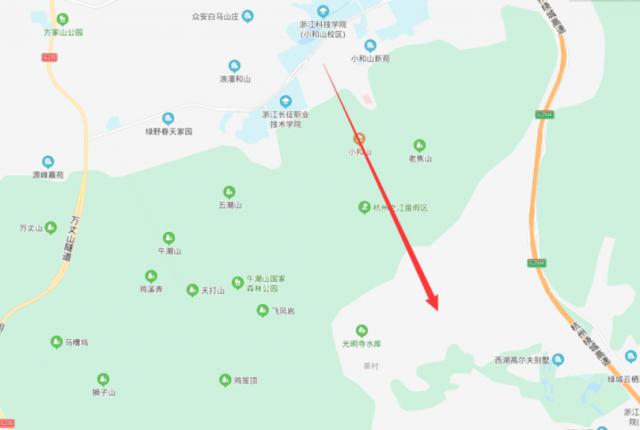 半岛晨报|男子凌晨误入山中被野狗逼上绝路，打开手机闪光灯发现在墓地里