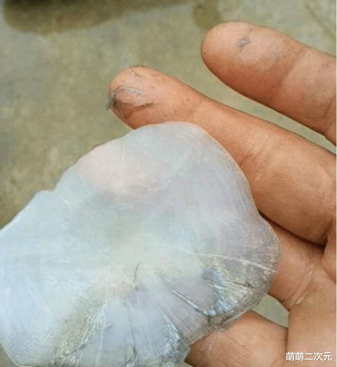 「」47年,一条鱼能长多大?生产队放的鱼,长成青鱼王