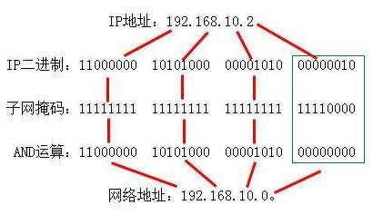 IPv6|比快播还强！这新技术光速下片，啥网站都能上