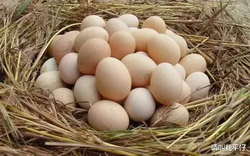 长寿■早上爱吃煮鸡蛋，长寿离你越来越近，但这几个禁忌一定要懂