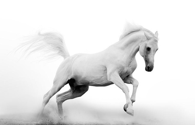 「创新药」抄作业！中长线看好的10支优质股