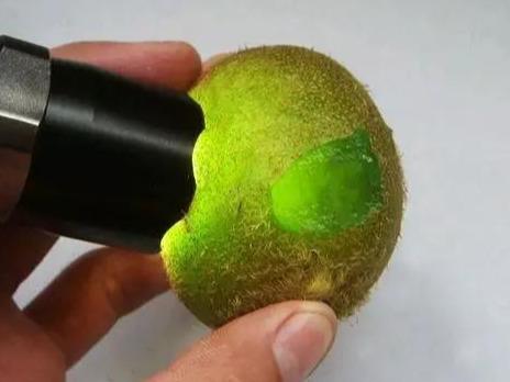 星月菩提|文玩乐趣多：45mm顺白高密正月星月菩提