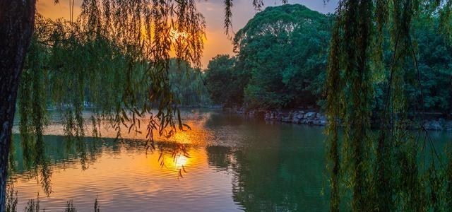 [清华大学]全国“最难考”的20所大学，网友：毕业证“镶金”，文凭能值百万