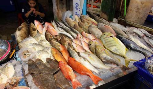 带鱼|海边人喜欢吃的6种鱼，有2种是日本人最爱，排名第一的是午鱼