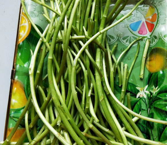 #补钙#藏在身边“补钙库”,每天炒一盘,孩子个头长得快,脑瓜更聪明