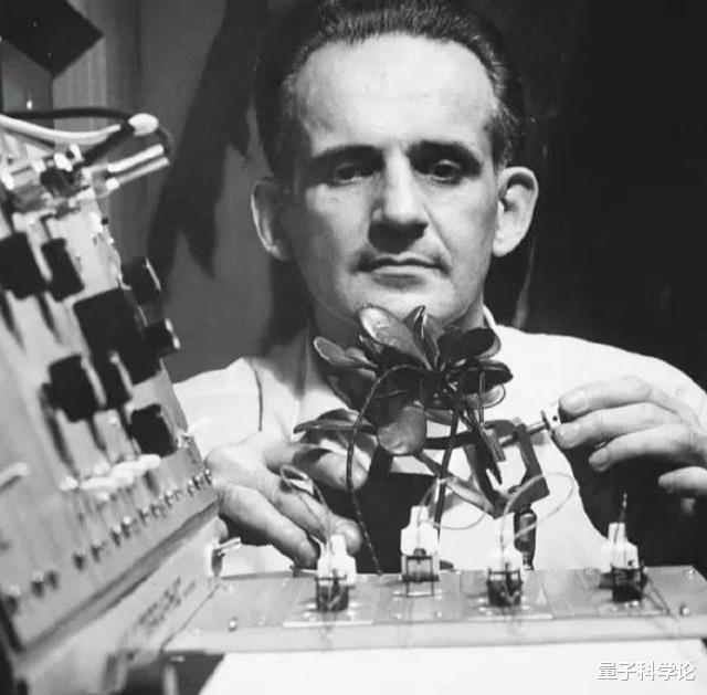 量子力学|一次普通的植物实验,得出颠覆认知的结果,让人怀疑宇宙