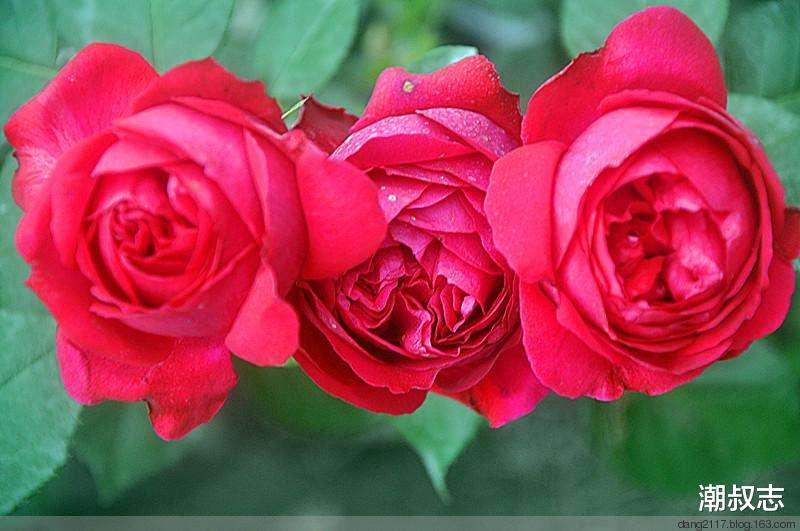 「生肖」2020年贵人帮扶的3生肖,食禄生财、财运顺遂,意外收入不俗