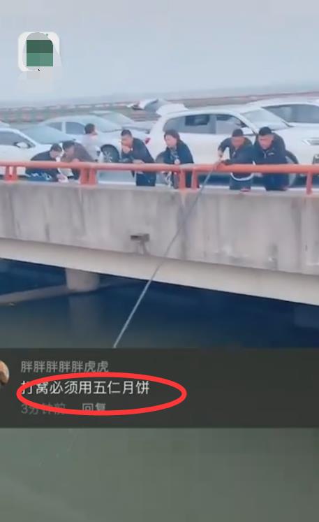 |堵哭了!高速堵车一夜原地不动,邻车放弃挣扎,掏出鱼竿钓鱼
