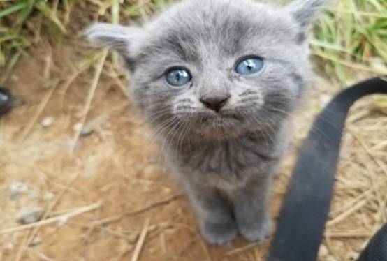 『』男子外出钓鱼，结果没钓着一条鱼，但带回了两个宝贝