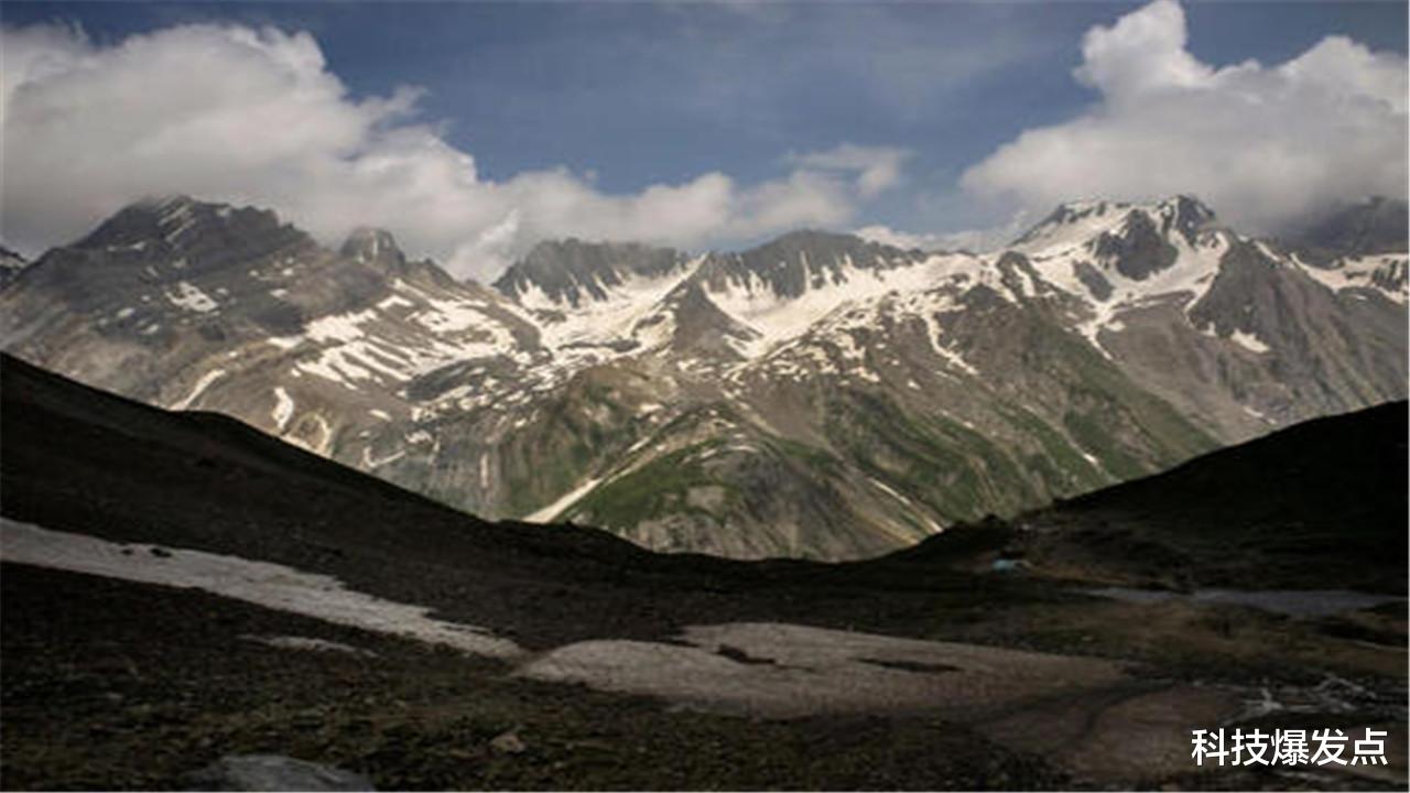 科学家|科学家发现诡异现象：猫科动物开始往高处迁移，这是怎么回事？