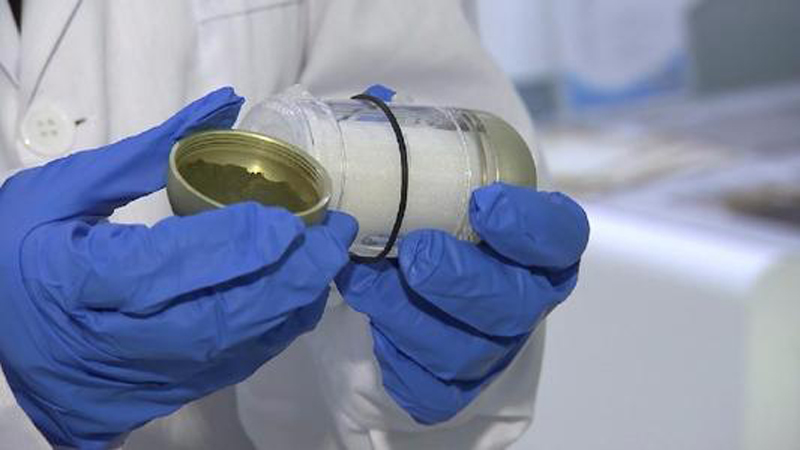 『太空』人类能在宇宙中繁衍吗?美俄进行的太空受孕实验,结果却让人意外