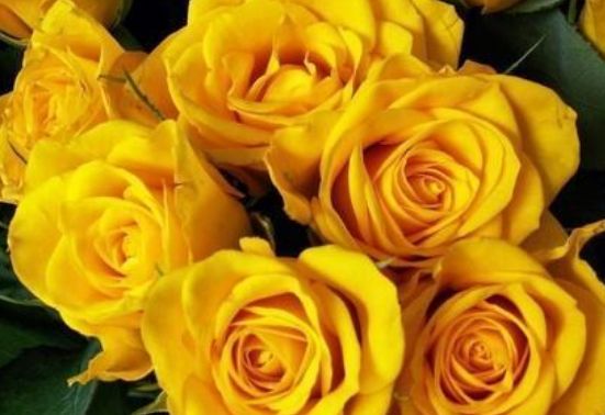 [运势]喜欢打扮的三种生肖女，年纪越大越漂亮，难以相信