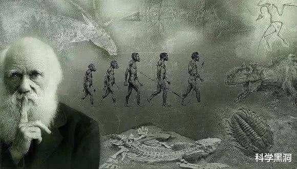 [后代]老虎和狮子既然有生殖隔离，为什么还有孙子辈后代狮狮虎兽存在？