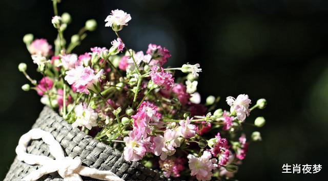 #巨蟹座#5月，旧情未断，旧情人没走，3生肖思念入骨，回头勇敢追回爱情