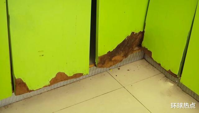 环球热点 浙江一男子租房四年，任由两只狗乱啃乱咬，房东：家具全都换新的