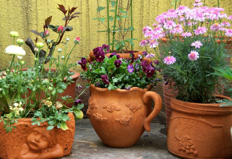 「」35㎡顶楼露台造园，不到一年，把家打造成了空中的“世外桃源”