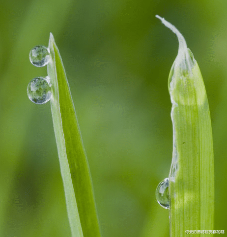 属兔|未来三个月,4属相贵人运很旺,财源滚滚,喜事连连,生活富裕