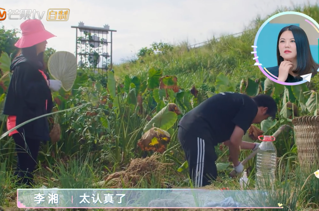 李湘|李湘，你需要好好解释一下了！