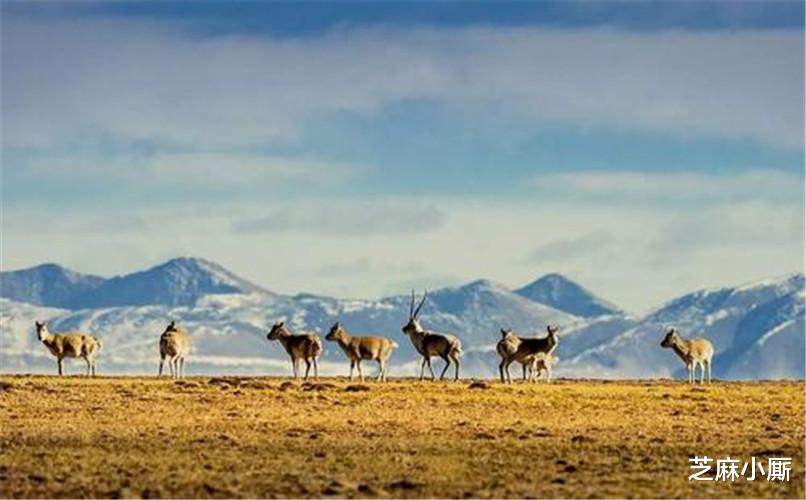 死亡谷|中国6大“止步禁区”，人类无法在这生存，有些地区至今难以解释