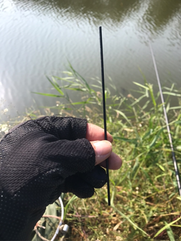 鲫鱼|早上鱼口不错\uD83D\uDC4D，可惜鱼杆断了