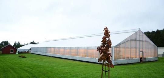 「太阳系」你有没有一种感觉，地球或许是所监狱，人类是被囚禁在地球上的？