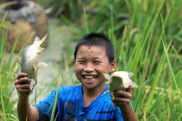 浏览器|儿时记忆，捕鱼漫谈