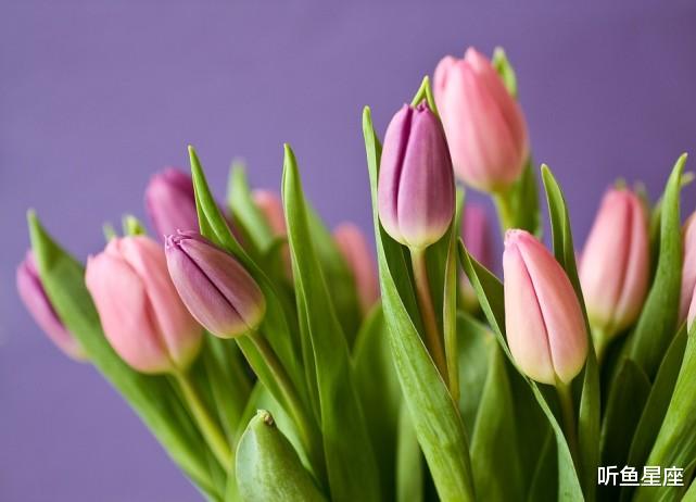 生肖|8月3号起，吉星庇佑，4生肖迎来意外之喜，事业、财运步步高升