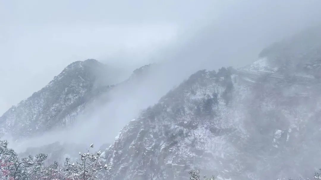 泰安|瑞雪丰年，国泰民安！看，泰安今冬第一场雪，下成这般仙境模样！