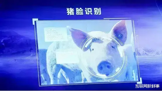 电影▲万科入局!大厂为什么都要养猪?