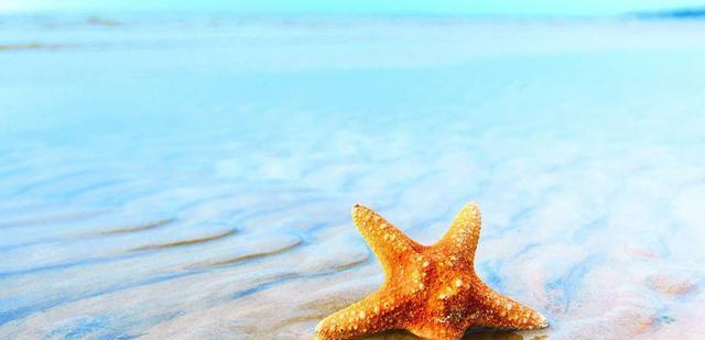 生肖|未来5天，三星座遇到不可求的人，有望发展为恋人，开始寻爱之路