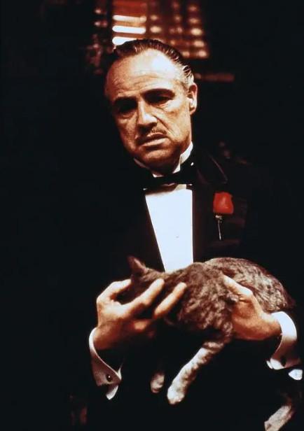 「阿甘」全球公认的九部神级电影，你可能连一半都没看过