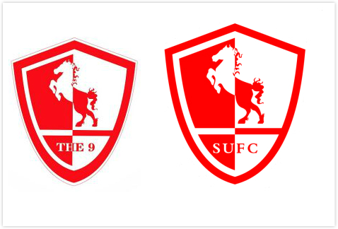 「贵州恒丰」一支业余队如何孵化了上海上港和贵州恒丰