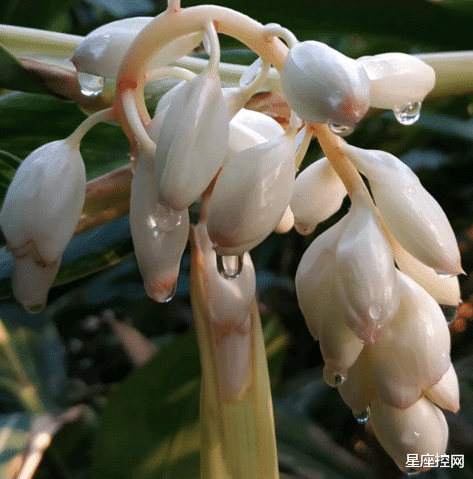 |哪些生辰出生的人，年轻时候有些冲动，中年后却特稳重，能办大事