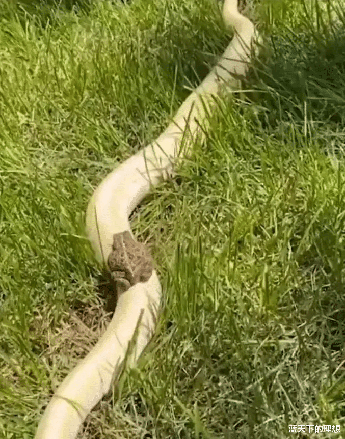 |“我应该去哪里找“废水”煮面条呢？这操作有点摸不清哈！”