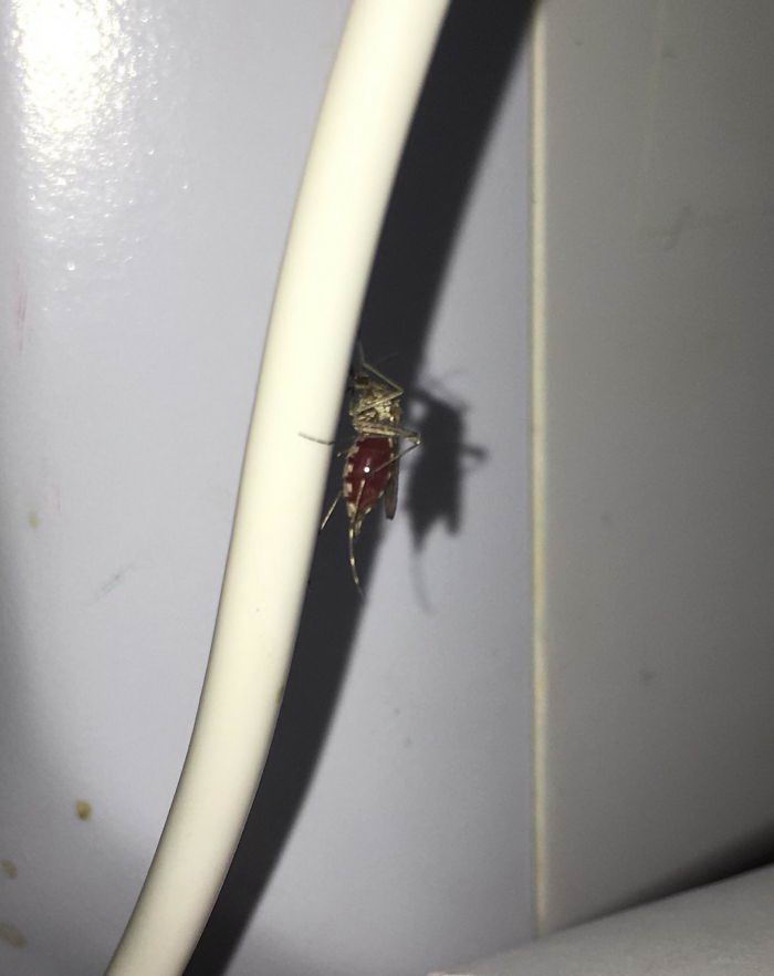 癌细胞|16张罕见的图片为您打开了您从未见过的新视角（第7期）