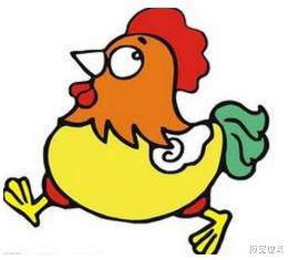 ##如果人类不吃鸡，一只鸡寿命能活多长，答案超乎你想象