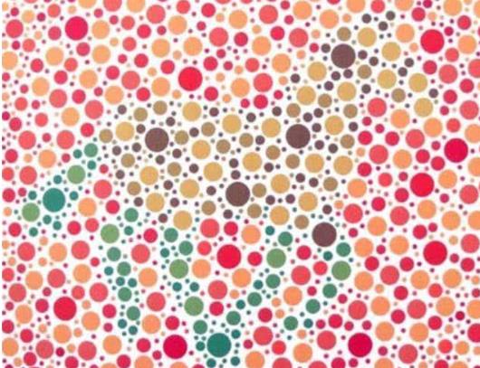 【驾照】车管所提供的色盲检测图，看不到“乔丹”，就别摸方向盘了