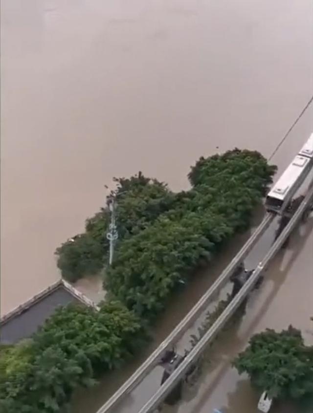 重庆|行为艺术?城区被淹,重庆男子五楼钓鱼走红,其实真能钓上鱼