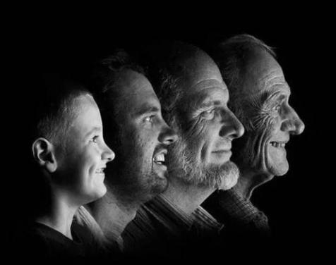 科学家|人类寿命由什么决定？科学家：伴侣的影响远超遗传