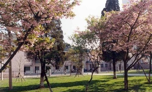 湘南学院|二本考生注意：征集志愿来临，建议多了解这些大学，容易捡漏