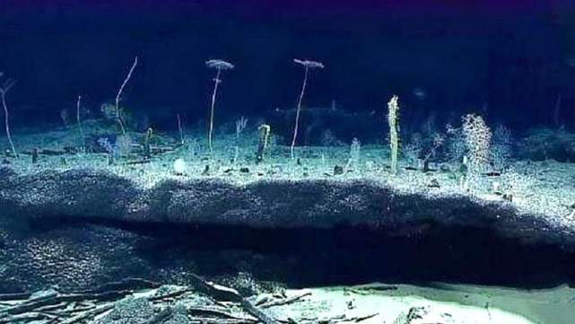 |潜水艇深入海底3700米，看到的景象让人后怕，这还是地球吗？