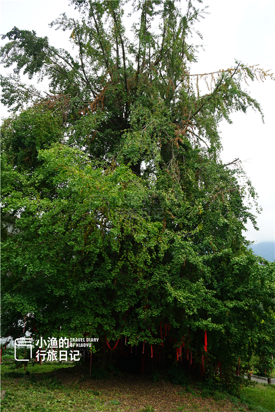 秦岭|陕西秦岭这条自驾线路，堪称最美赏秋地！老司机凑时间也该走一次