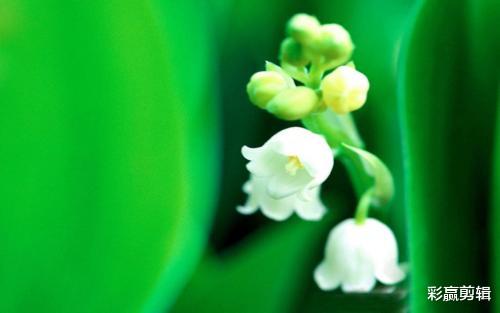 天蝎座|10月爱情降临身边，能够顺利脱单，牵手幸福的三个生肖