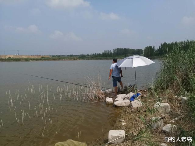 饵料|钓鱼的4个精彩时刻，魔力十足，毫无所获也抵挡不住扬竿的热情！