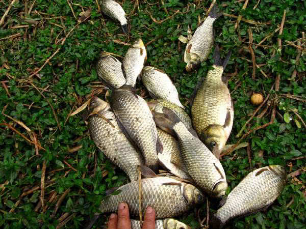 「」钓鱼和刮风有什么联系?能回答这三个问题,说明你钓鱼有些年头了