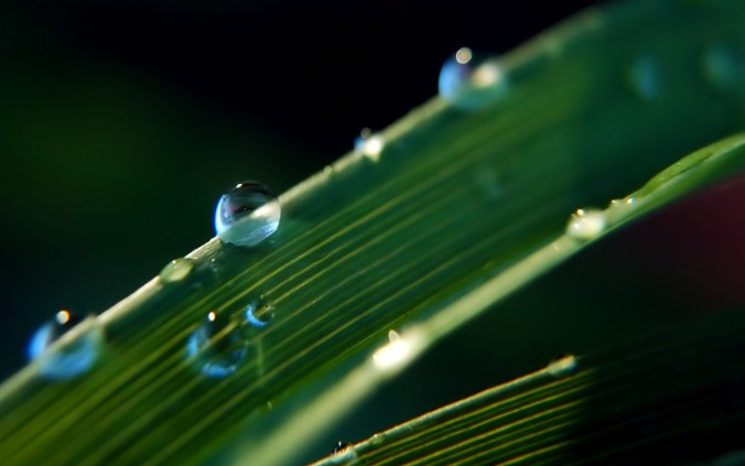 「生肖」6月中旬，迎来全新生活，财情兼收，有望大翻身的属相生肖